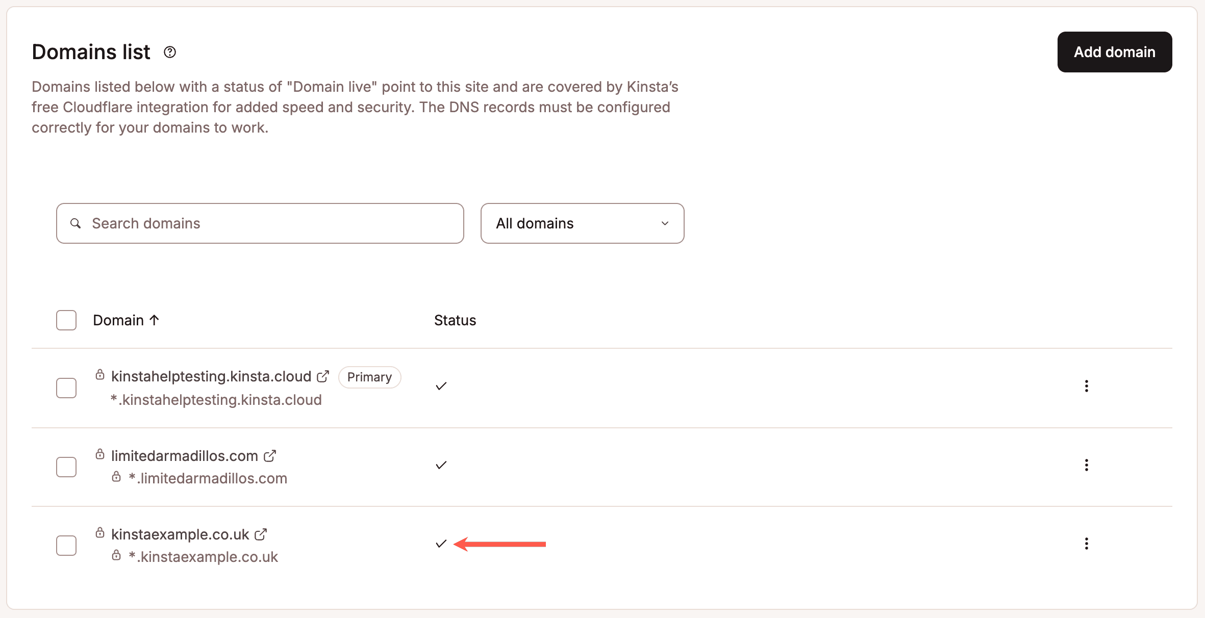 A checkmark next to your domain in MyKinsta indicates it’s pointed correctly.