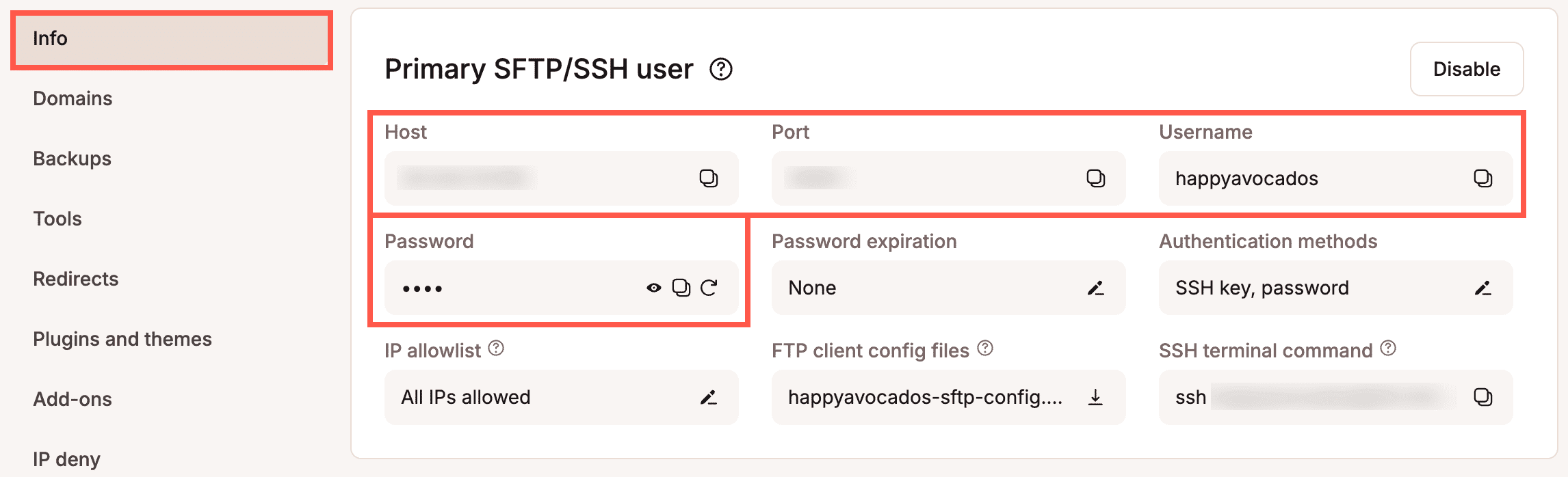 Primary SFTP/SSH user details in MyKinsta.