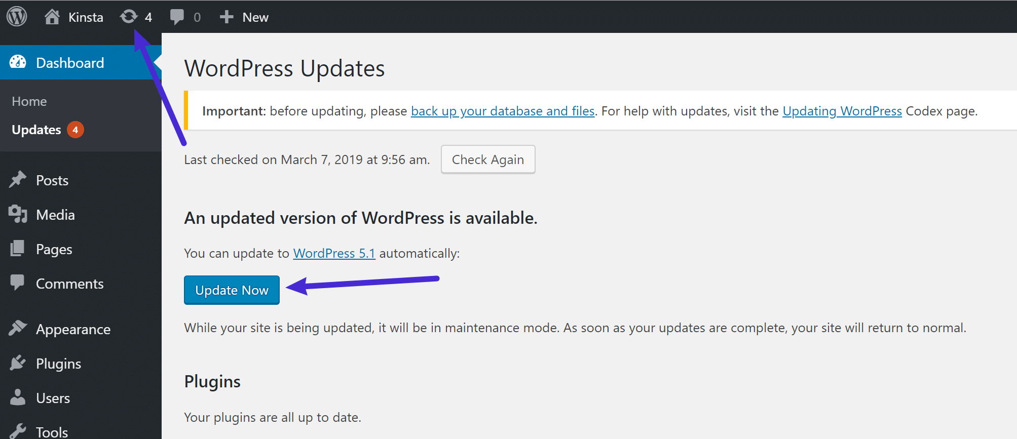 Cómo actualizar a WordPress 5.1