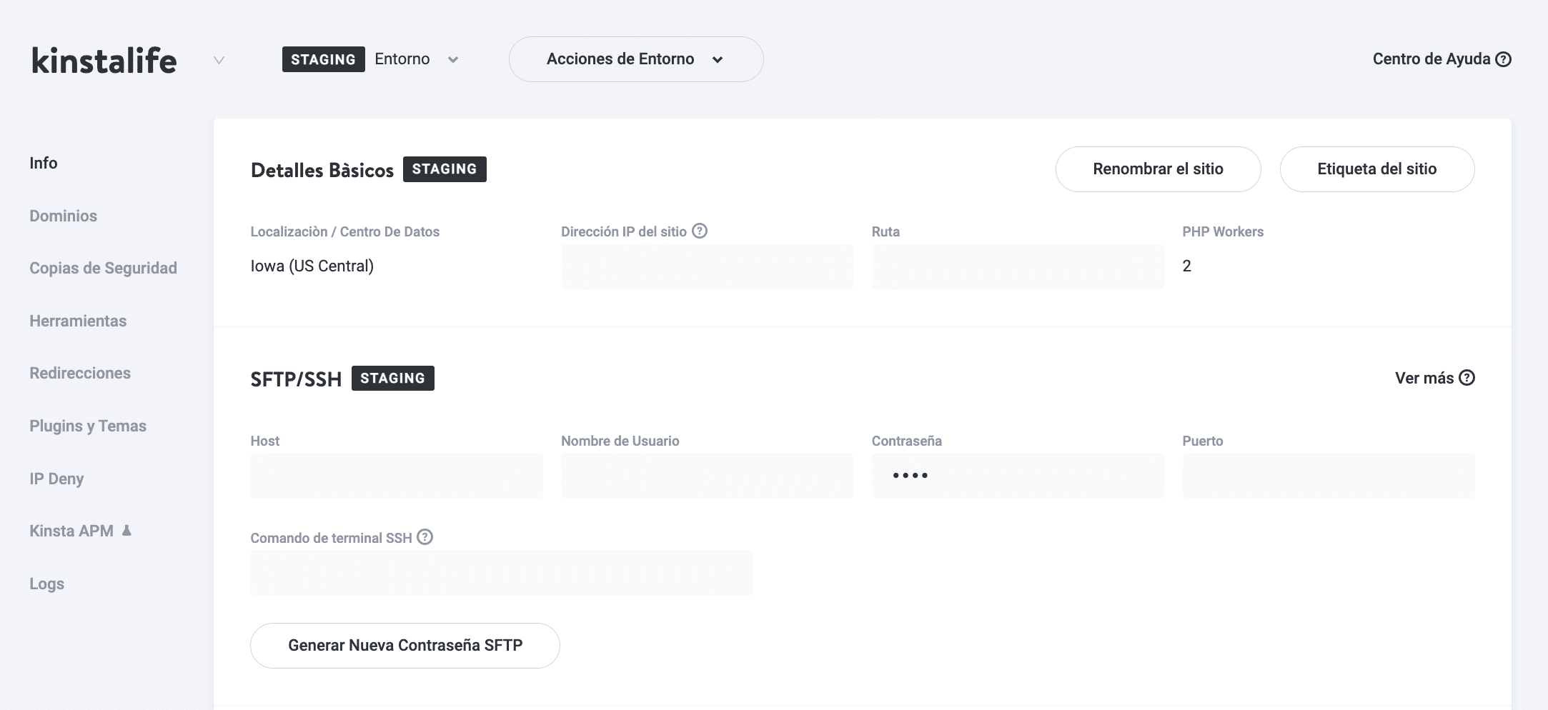 myKinsta staging