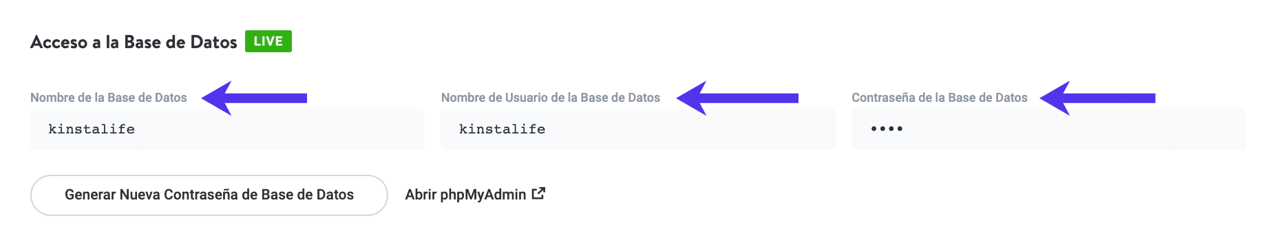 Acceso a la base de datos en MyKinsta