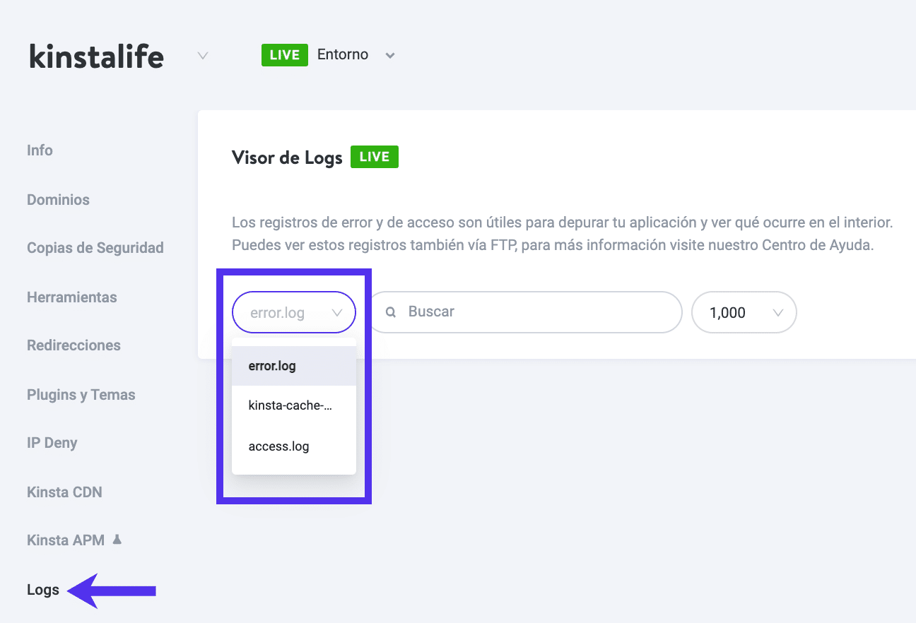Visor de bitácora en MyKinsta