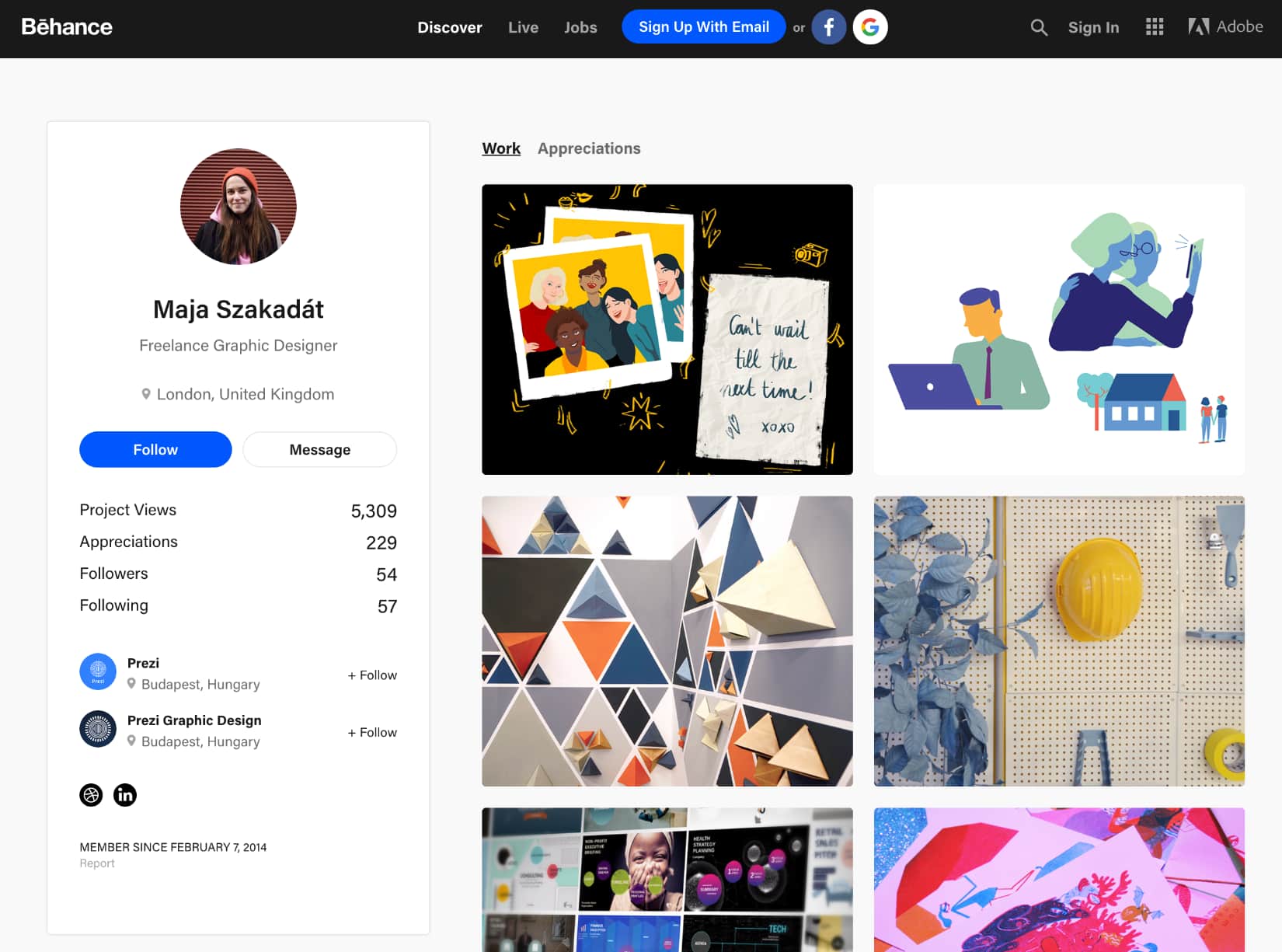 Una pagina artista in Behance
