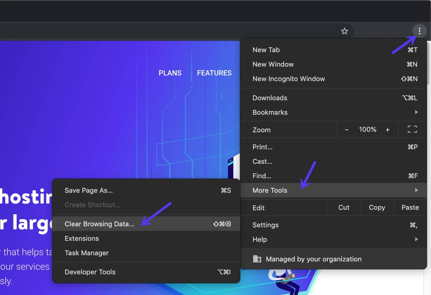 Pulizia dei dati di navigazione su Chrome
