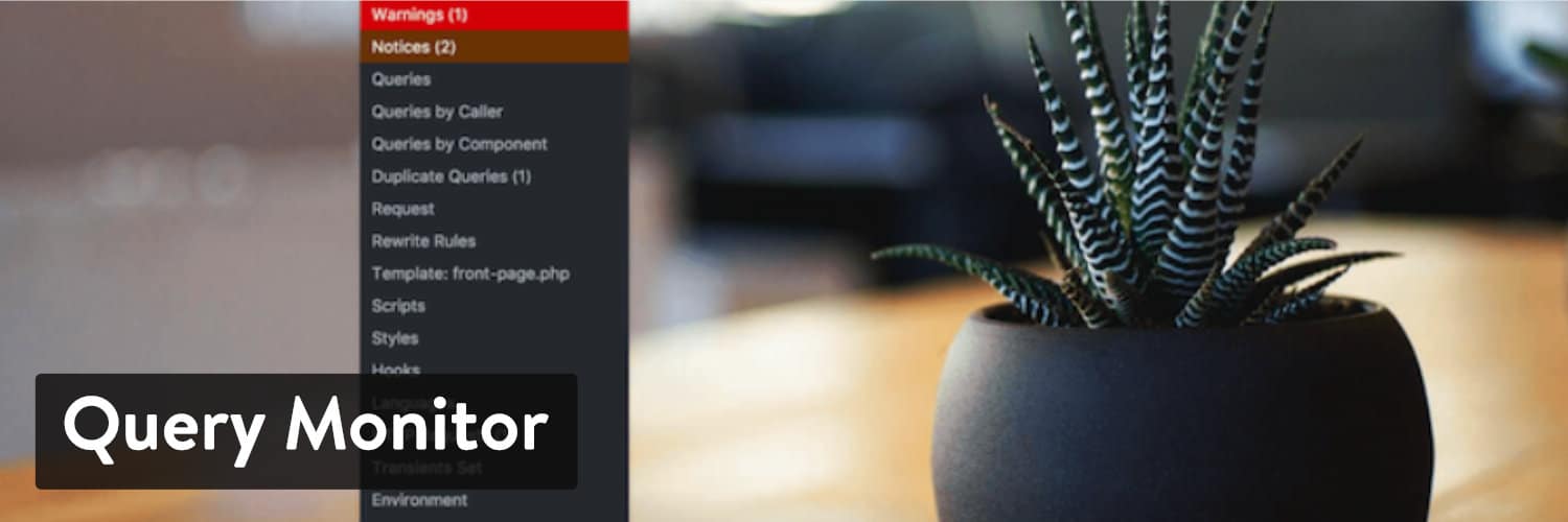 Il plugin WordPress Query Monitor