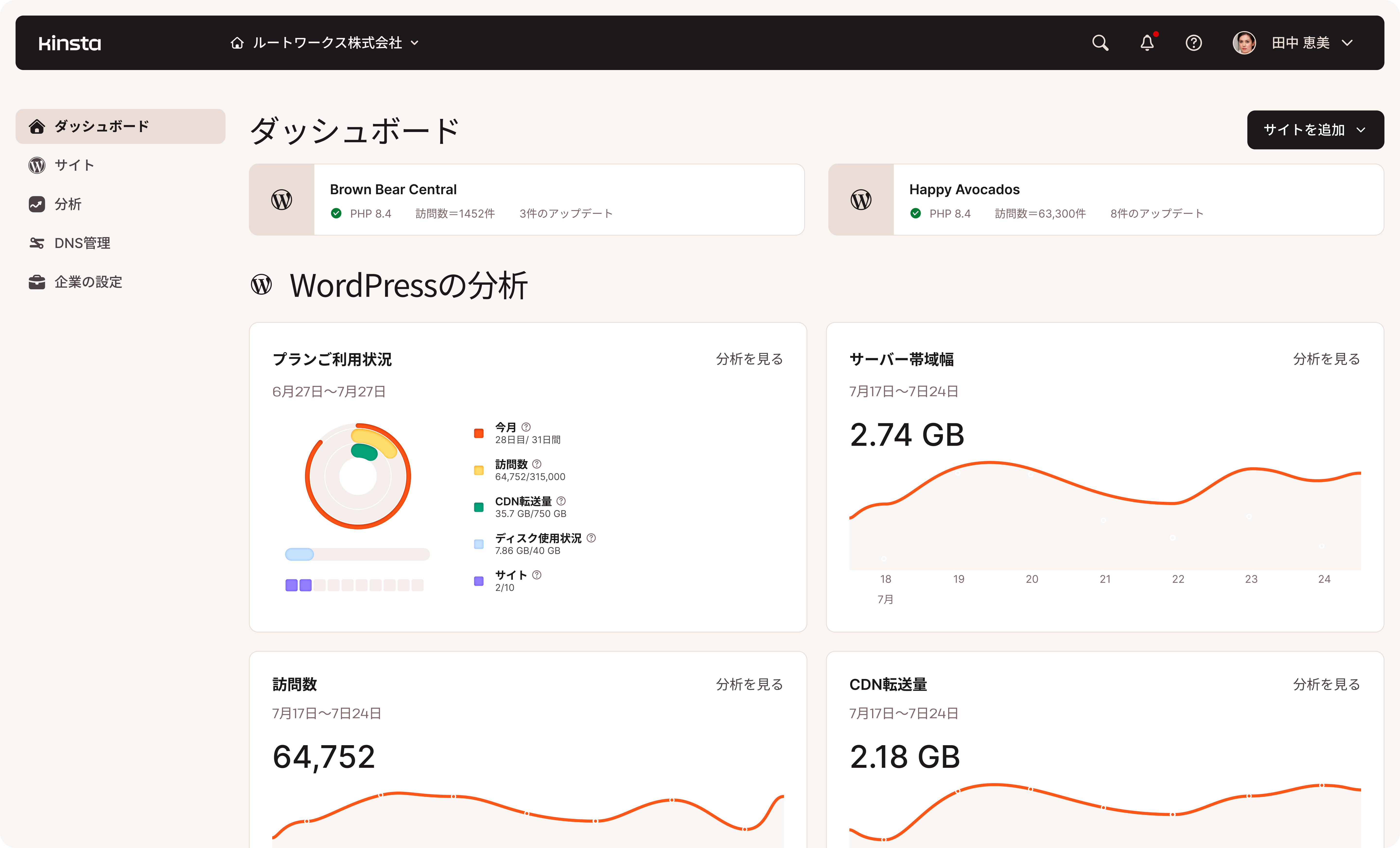 MyKinstaのダッシュボードではサイトの様々なチャートやグラフを確認可能