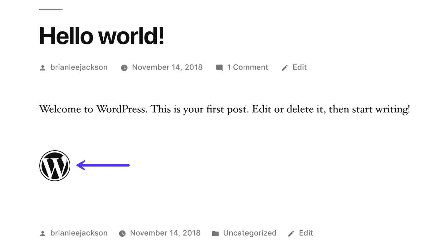 Voorbeeld Font Awesome in WordPress 5.0