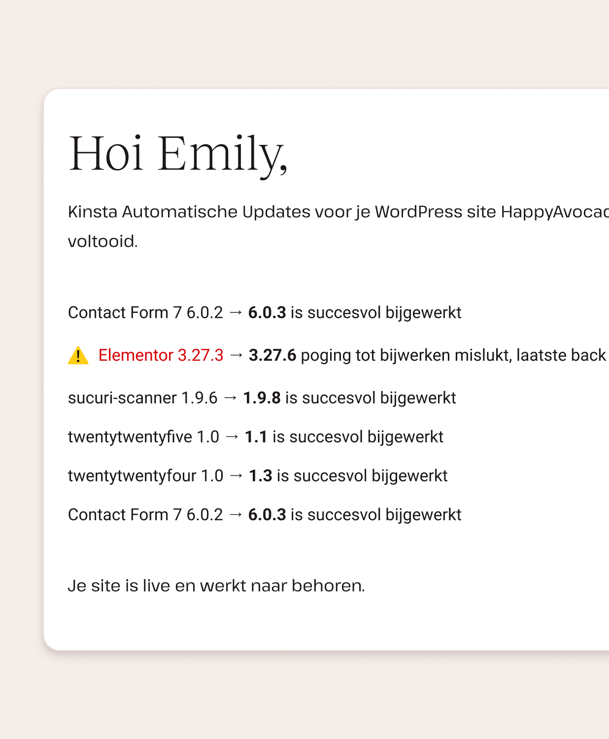 Foutmeldingen bij het bijwerken van plugins en thema's