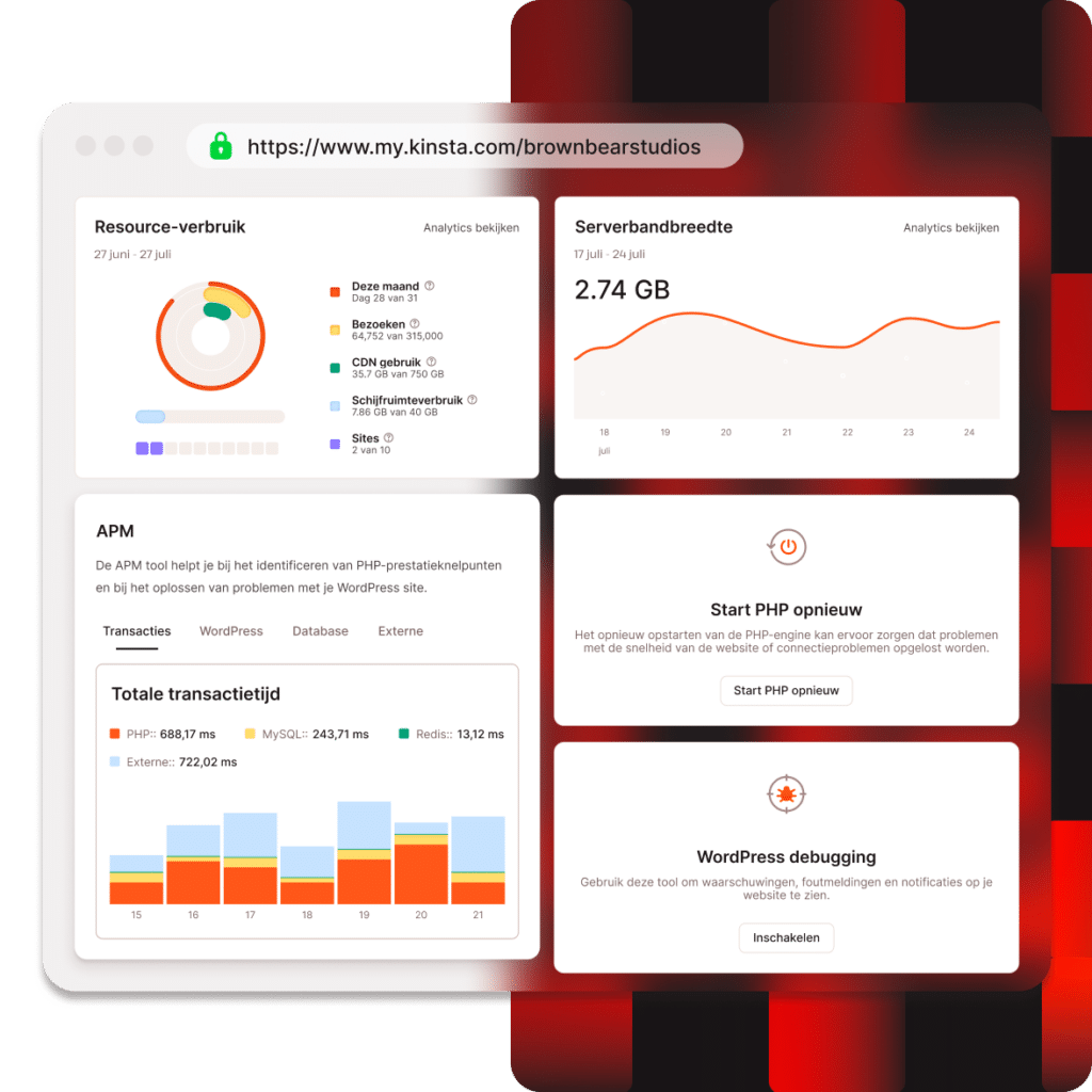 Het MyKinsta dashboard