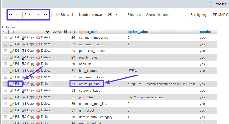 Onde encontrar a entrada active_plugins