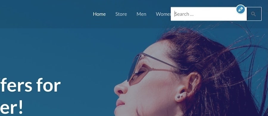 WordPress - barra de pesquisa adicionada com configurações de temas