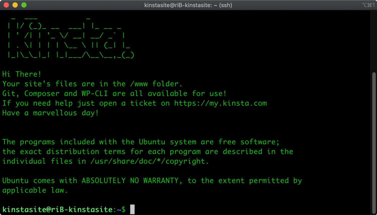 Janela do terminal SSH.