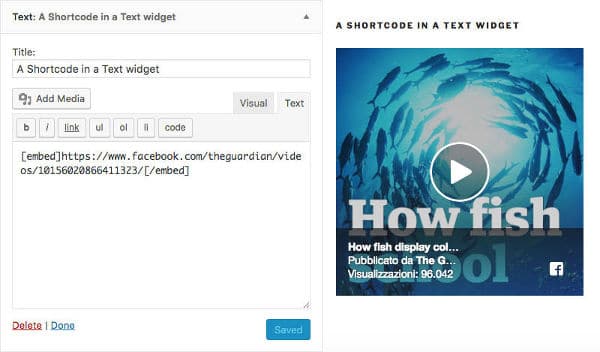 Text widget