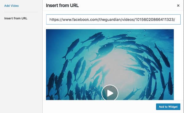 Video widget