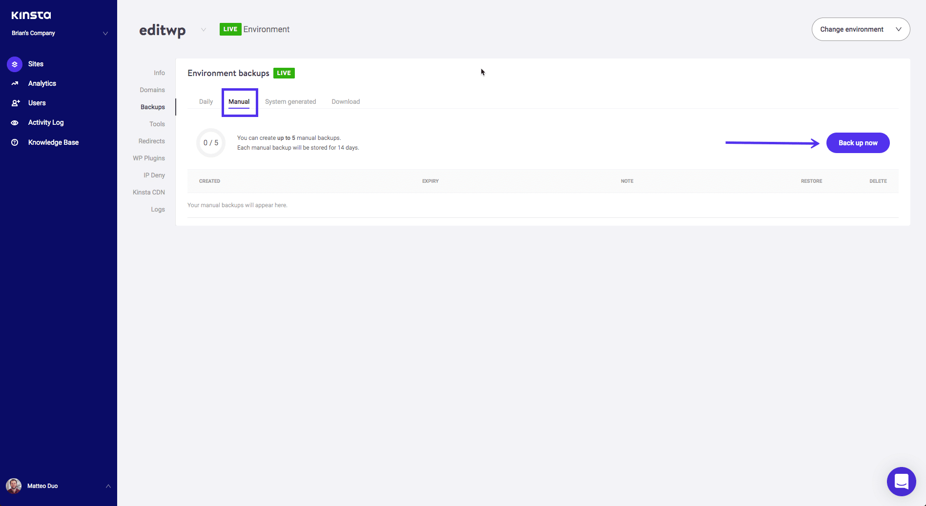 Kinsta manual backups