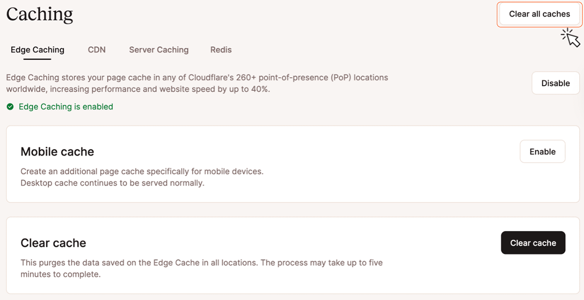 Screenshot showing the caching controls within the MyKinsta dashboard.