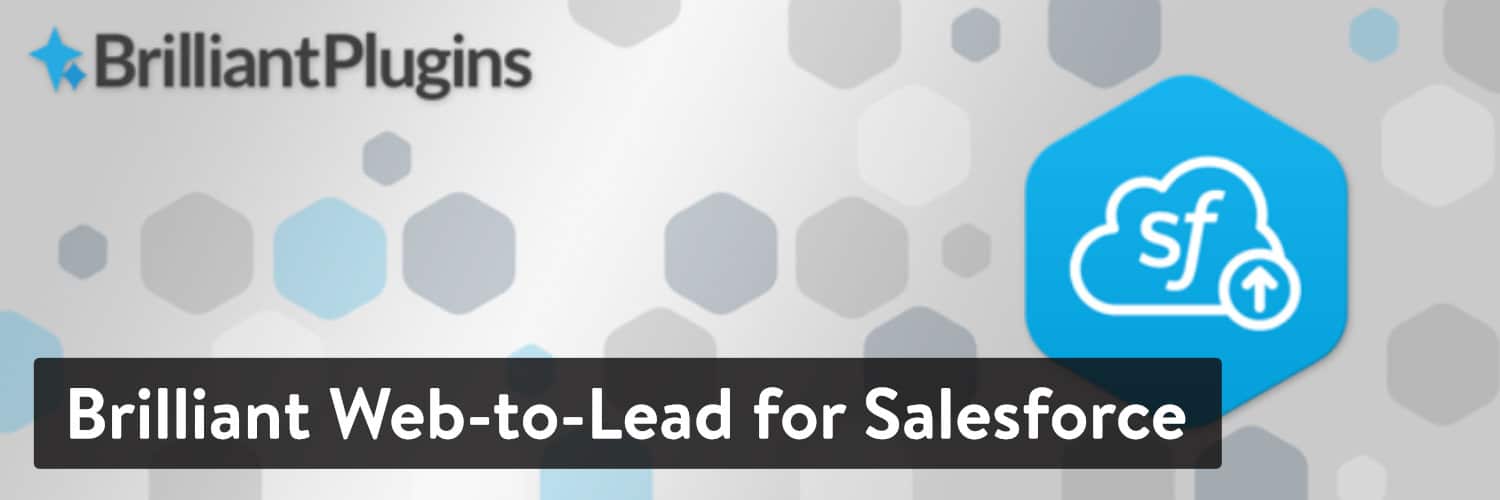 Brilliant Web-to-Lead for Salesforce WordPress plugin.