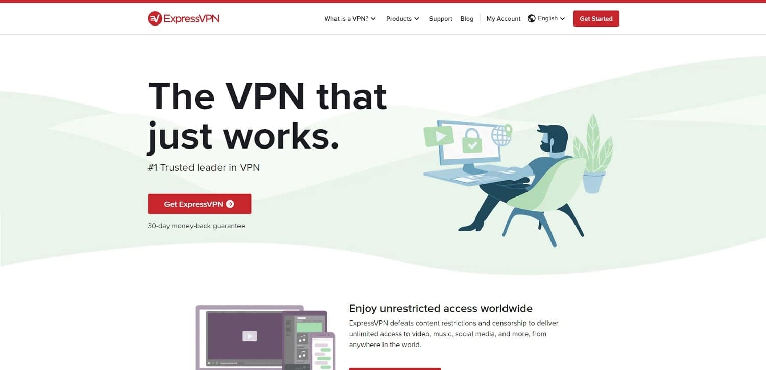 express vpn
