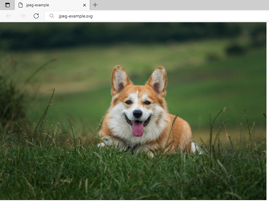 Apri un file SVG con un browser