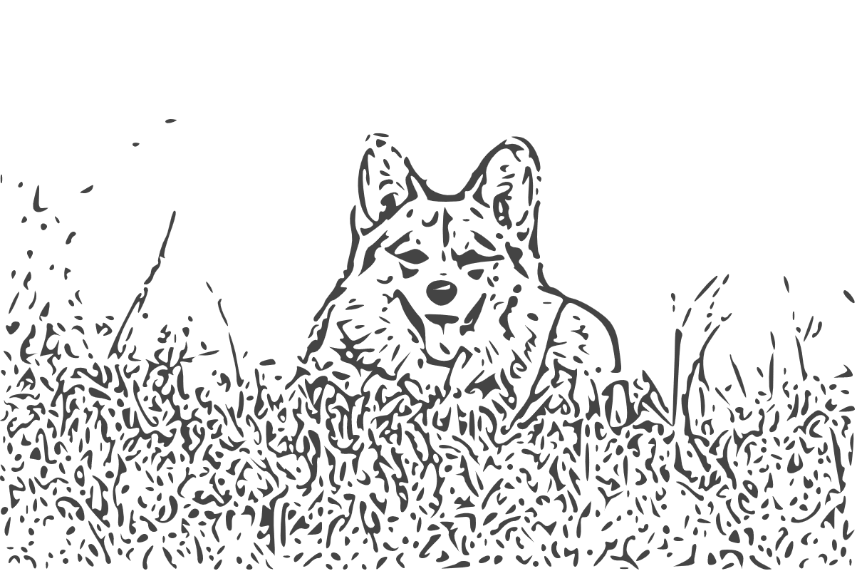 JPEG convertito in SVG