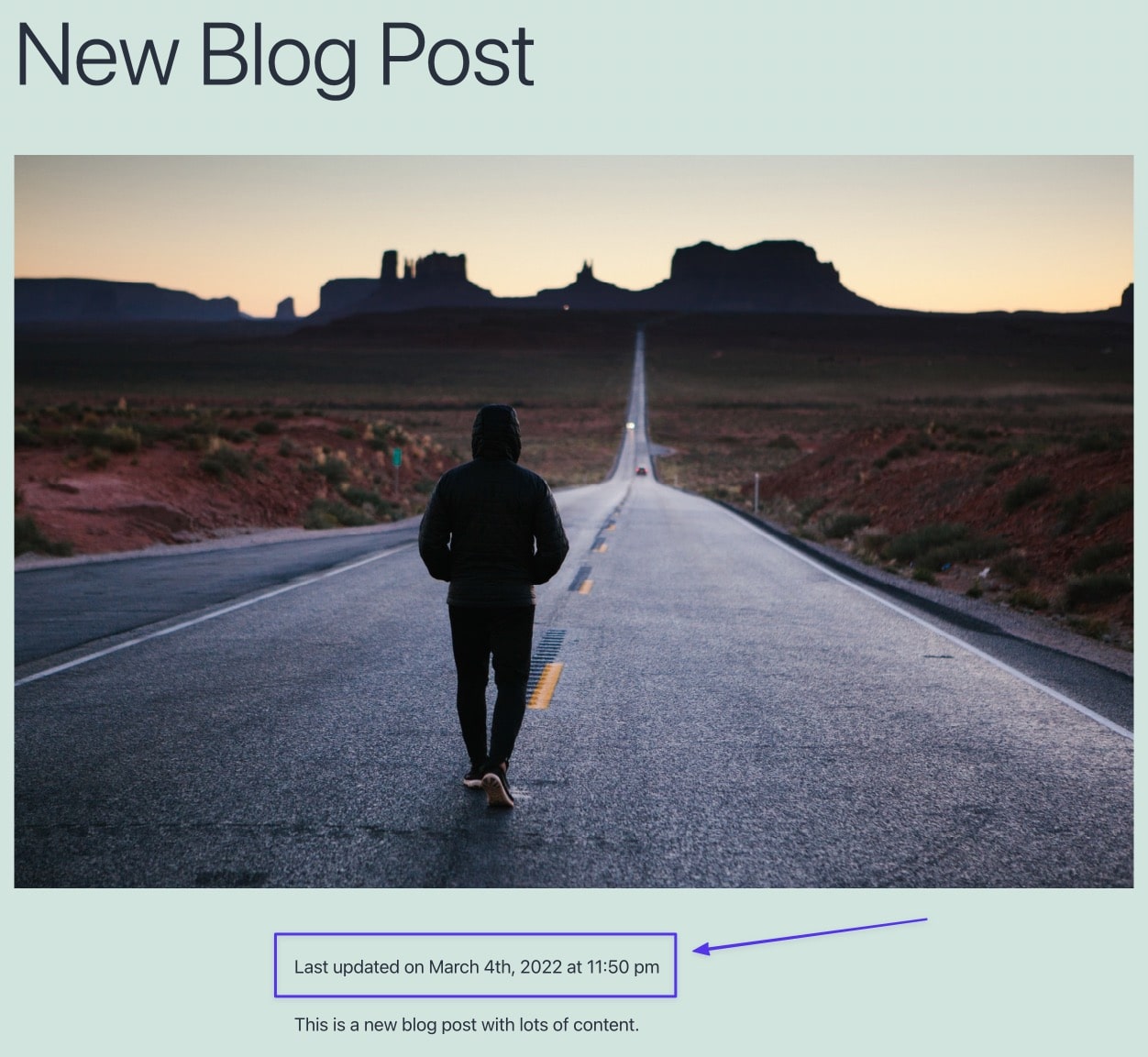 Frontend view of the last updated date