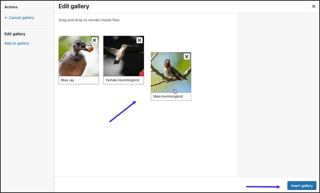 Réorganisation des images choisies pour la galerie.