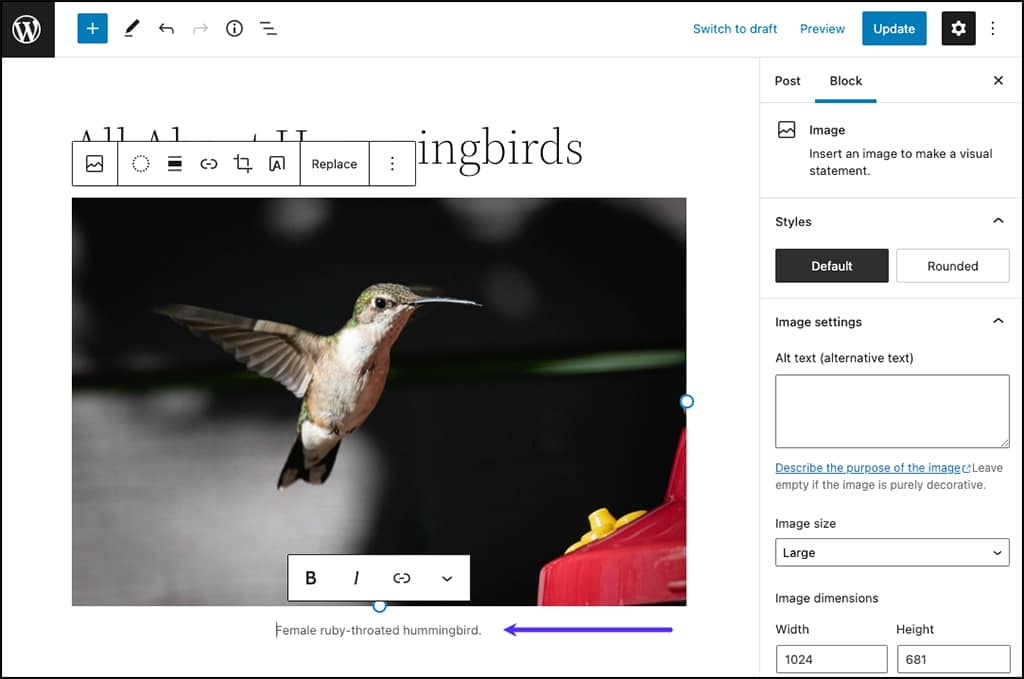 Un exemple de légende d'image affichée dans l'éditeur de bloc de WordPress.