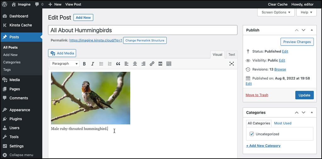 Une légende affichée après le téléversement d'une image dans l'éditeur classique de WordPress.