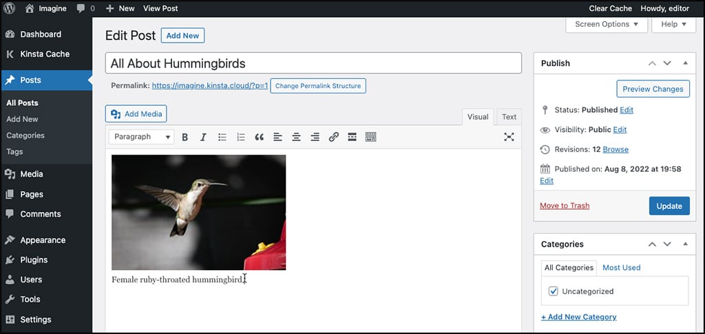 Image et légende affichées dans l'éditeur classique de WordPress.