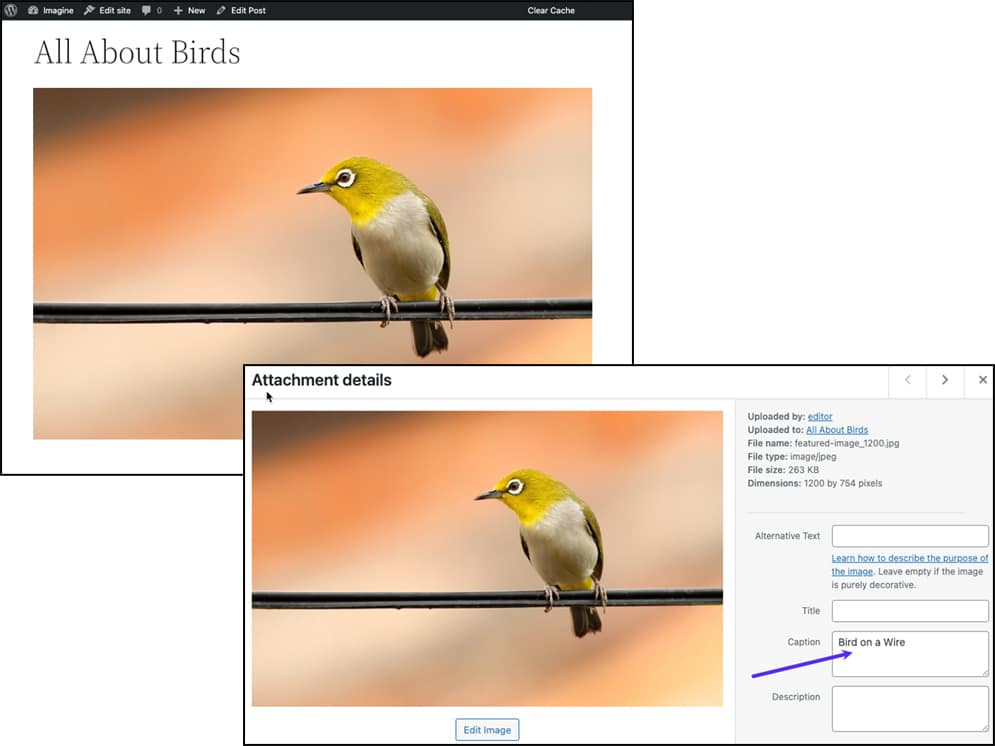 Image mise en avant sur une page (backend et dans la médiathèque (frontend).