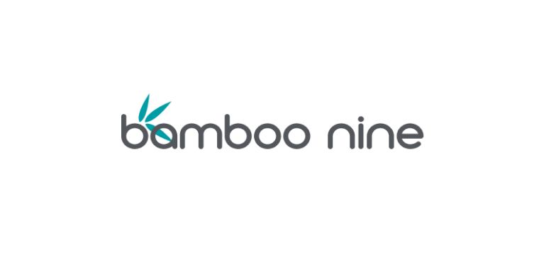 Kinsta Agency Partner: Bamboo Nine