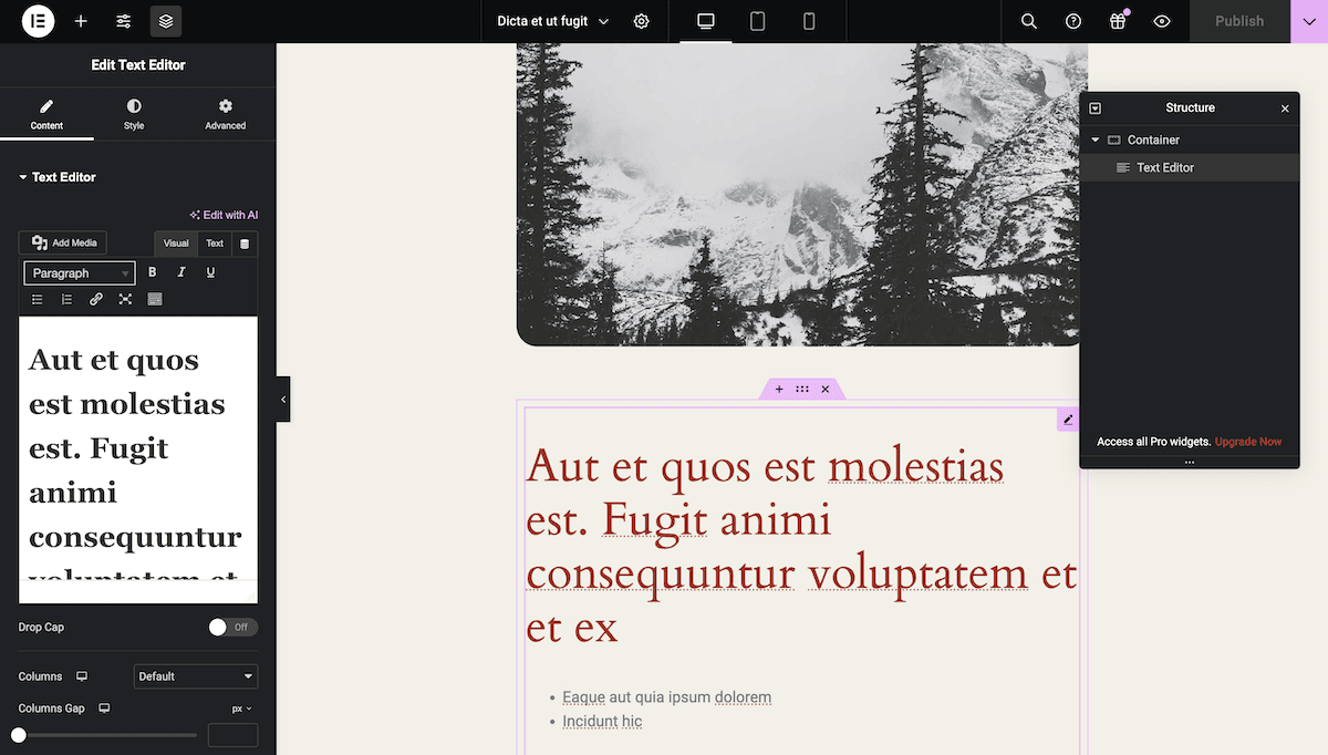 WordPress内のElementorページビルダー画面