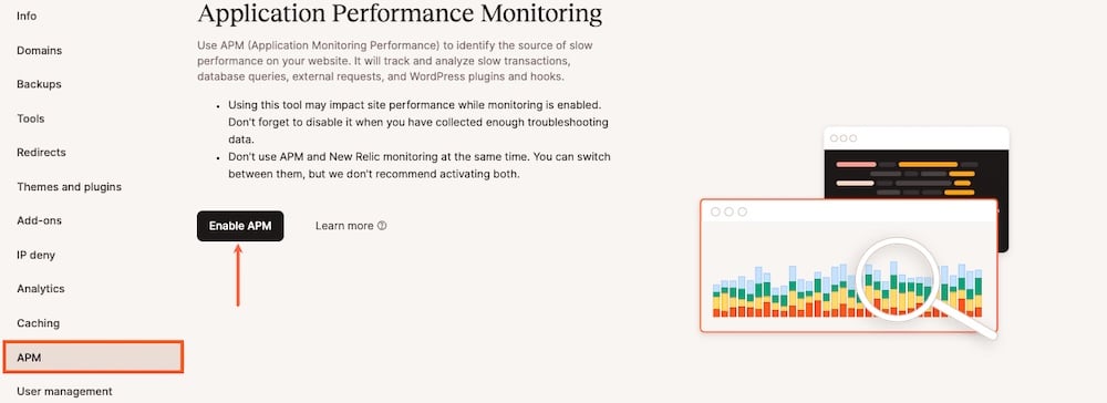 Screenshot van de Application Performance Monitoring interface in MyKinsta.