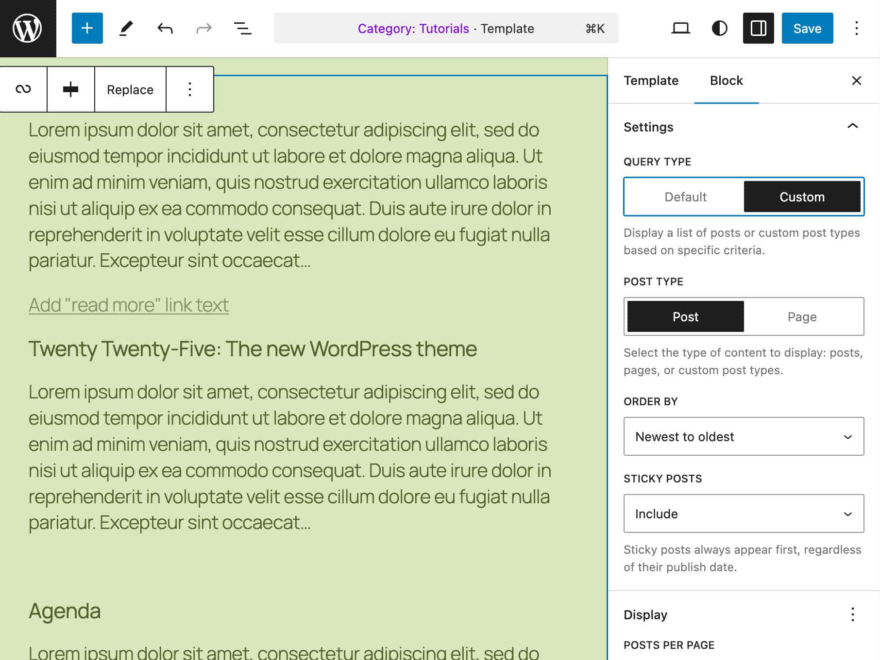 Il controllo Query Type in WordPress 6.7