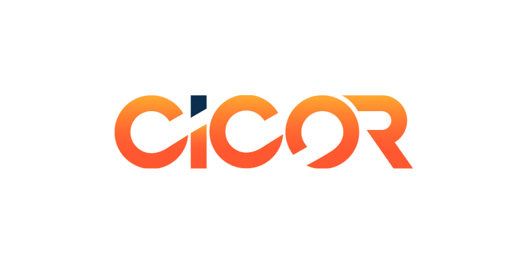 Kinsta Agency Partner: CICOR Marketing