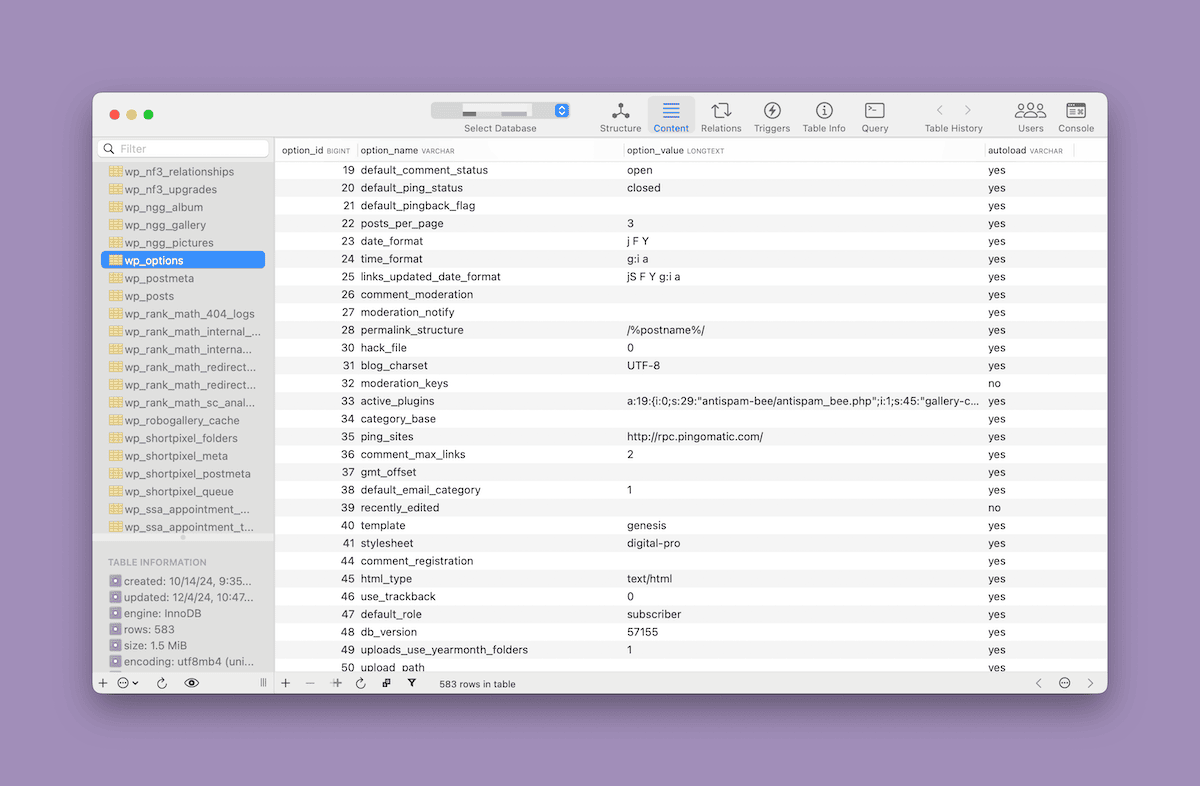 SequelAceアプリ内のwp_optionsテーブル
