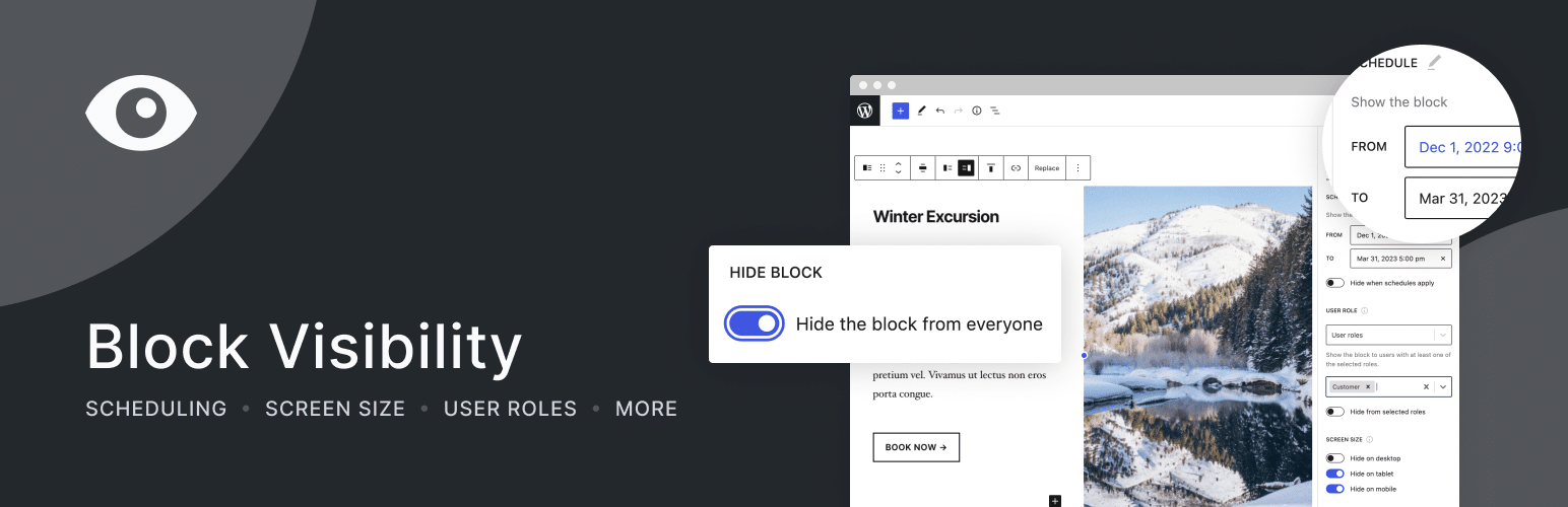 Hero banner of the Block Visibility plugin.