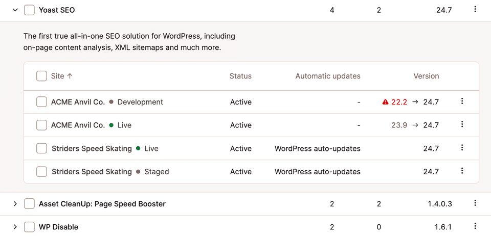 Screenshot che mostra i plugin e gli stati di aggiornamento in più ambienti WordPress.