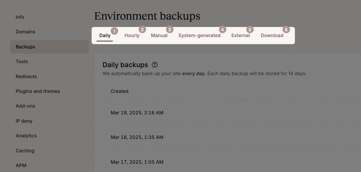 Backups in MyKinsta