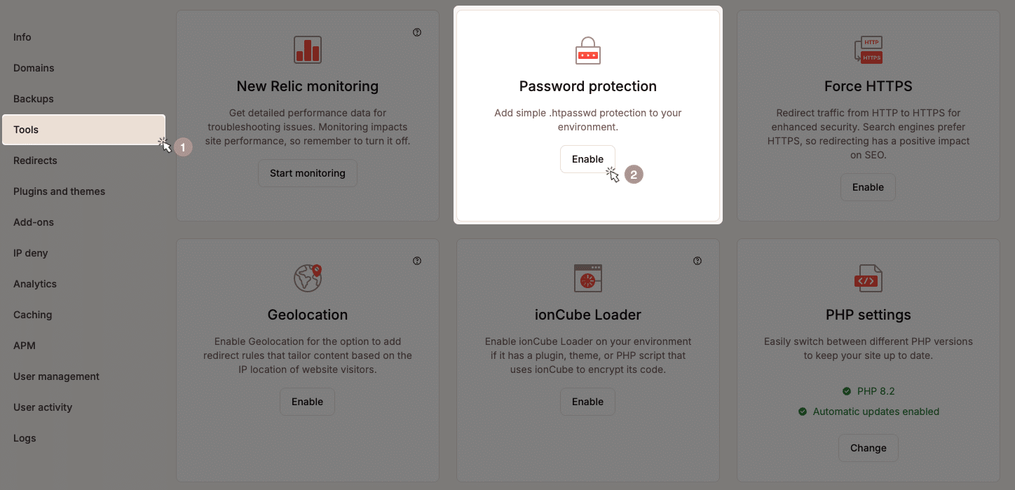 Kinsta Password protection