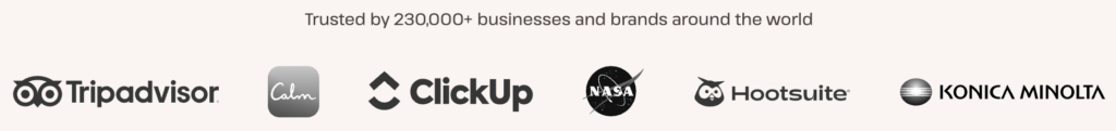 Kinsta clients