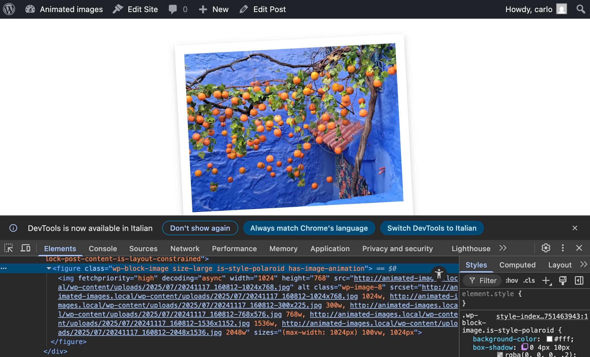 is_style_polaroidとhas_image_animation CSSクラスが画像ブロックに追加された様子