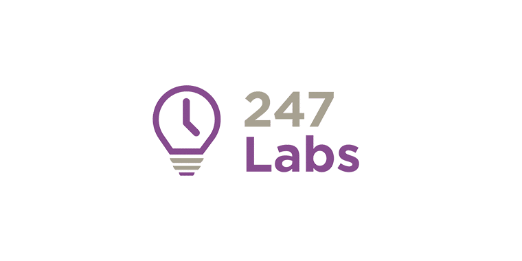 Kinsta Agency Partner: 247Labs