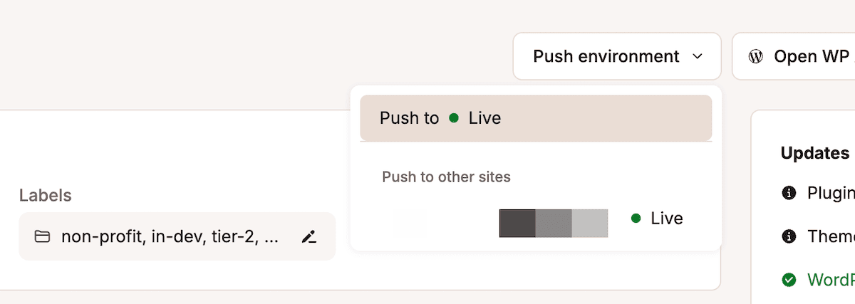 Das Dropdown-Menü „Push-Umgebung“ für eine Website im MyKinsta-Dashboard. Es gibt zwei Optionen: entweder „Live schalten“ oder eine Auswahl zum Schalten auf andere Websites.