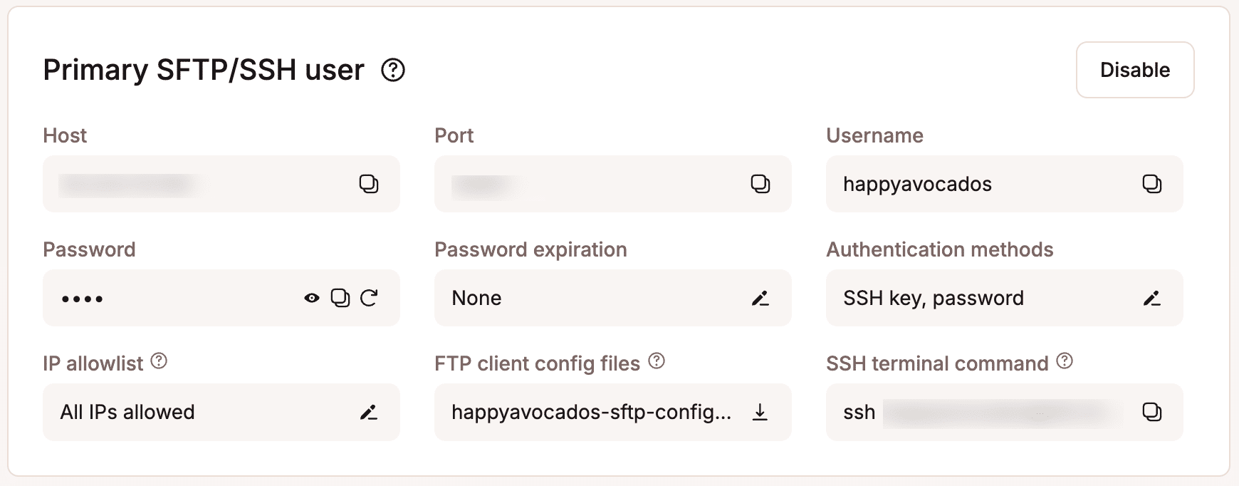 Detalles del usuario SFTP/SSH principal en MyKinsta