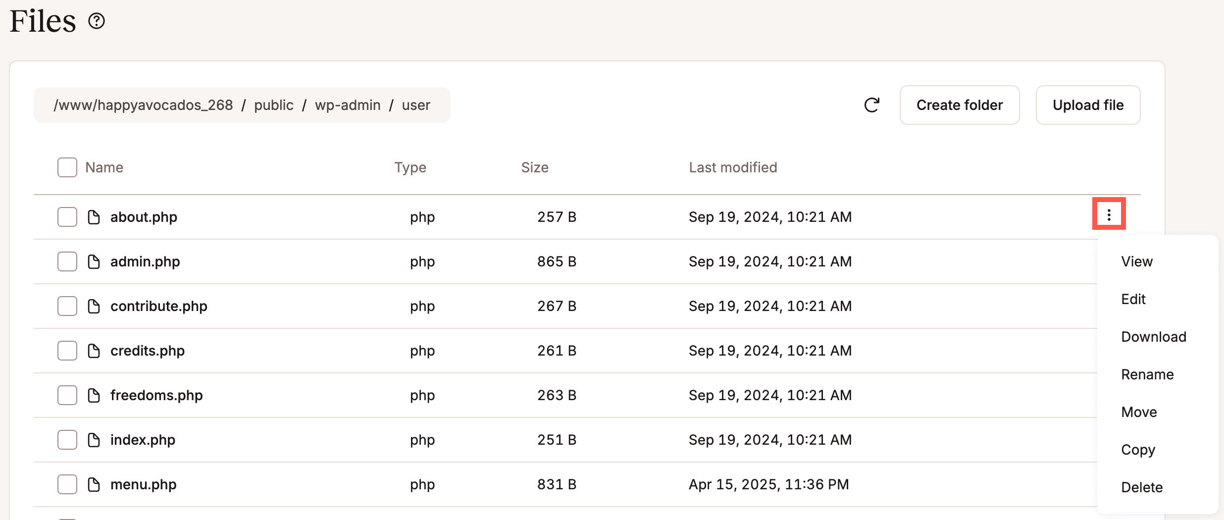 A screen shot showing the actions available for files in MyKinsta.