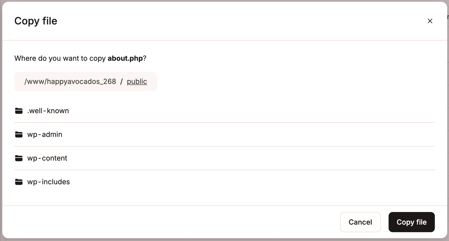 A screenshot showing the dialog when copying a file in the MyKinsta file manager.